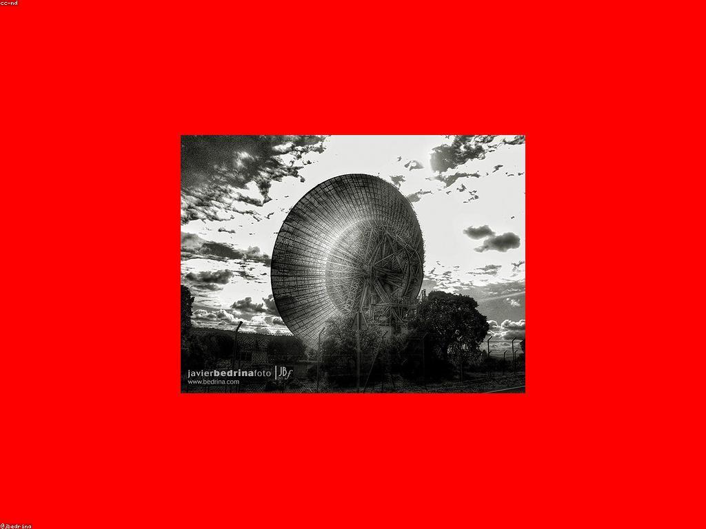 គន្លឹះសំខាន់សម្រាប់ភាពជោគជ័យរបស់អ្នកថ្មី