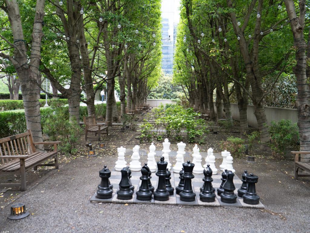 យុទ្ធសាស្ត្រសម្រាប់ការអភិវឌ្ឍន៍នៃភាពជោគជ័យសម្រាប់អ្នកថ្មី