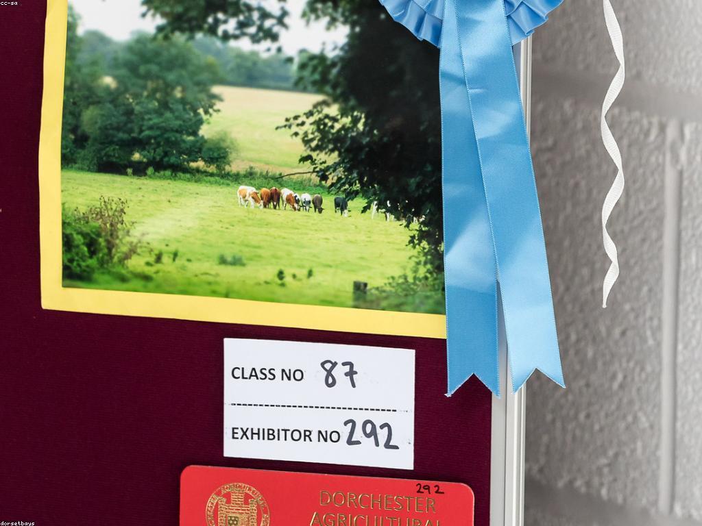 ការប្រកួតនិងរង្វាន់: វិធីសាស្ត្រប្រកួតដើម្បីឈ្នះរង្វាន់