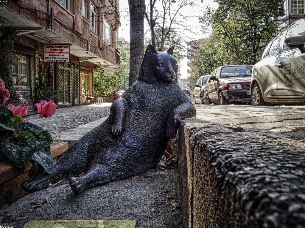 កត្តាសំខាន់ៗសម្រាប់ភាពជោគជ័យរបស់អ្នកថ្មី